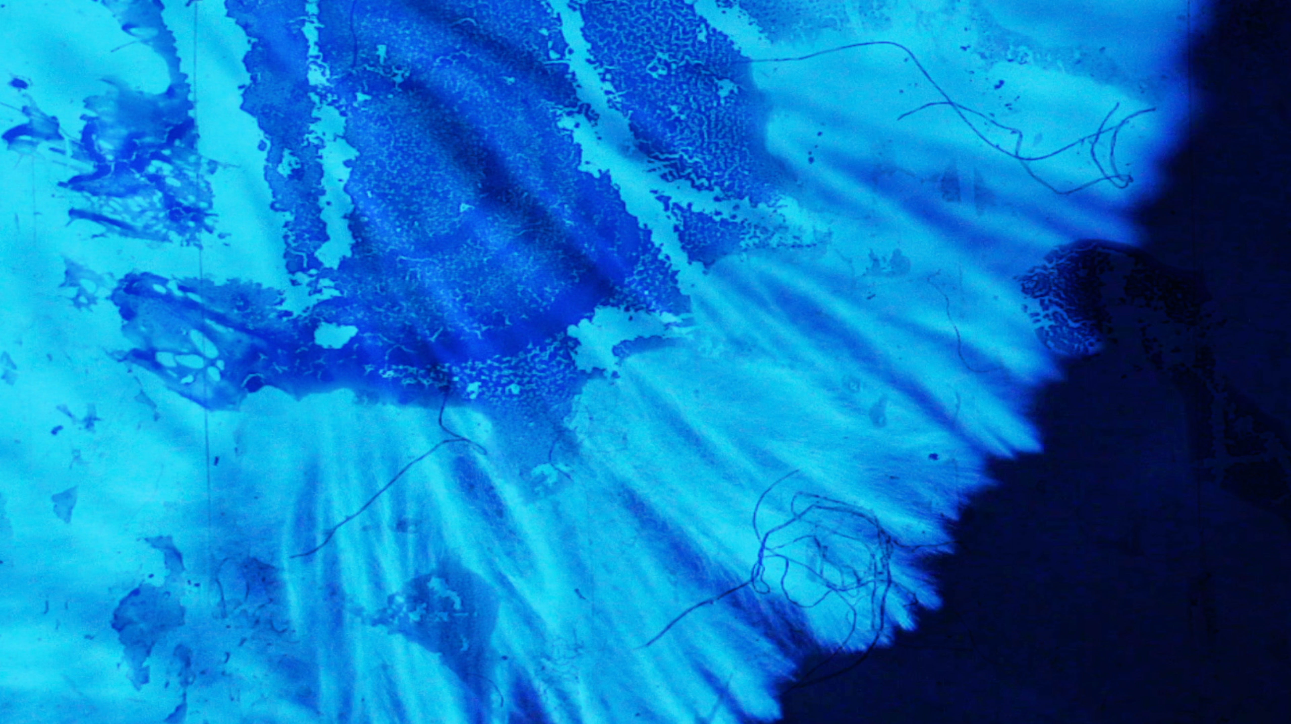 Maarja Nuut ' A FEAST' - HART OF THE WOOD VISUAL