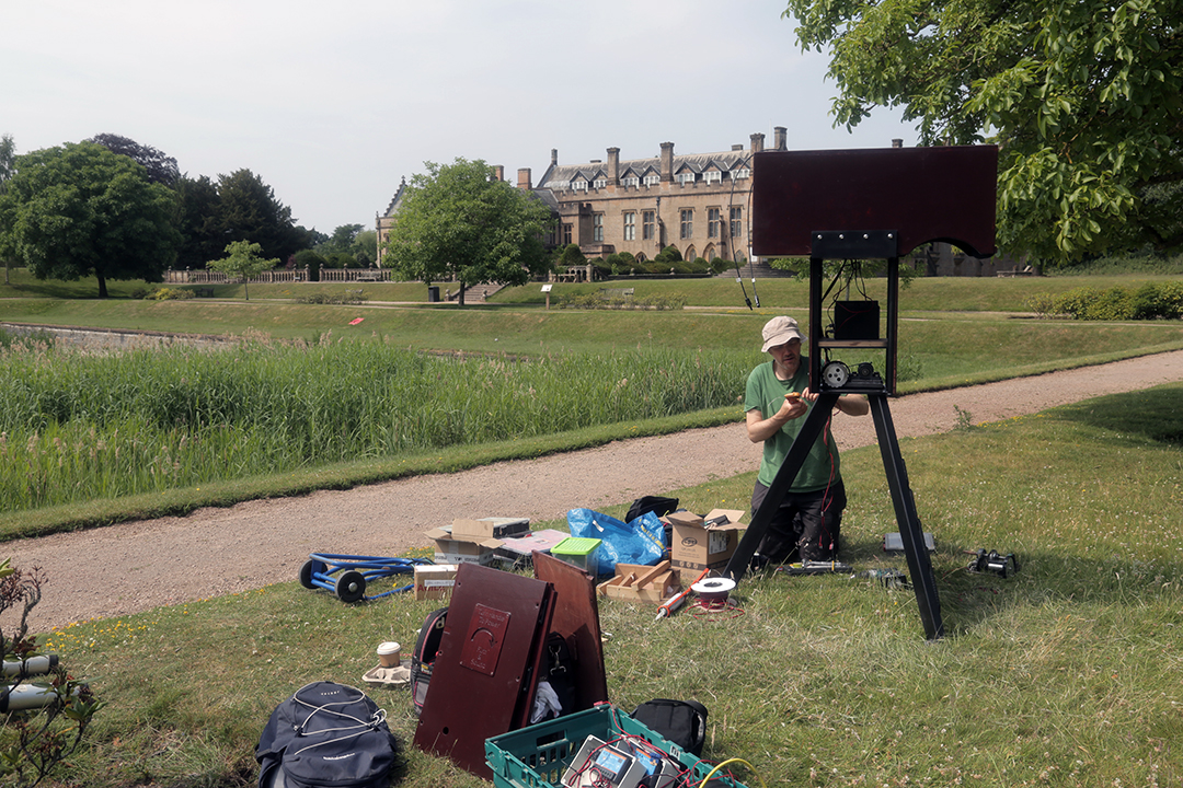 Hart of the Wood at Newstead Abbey