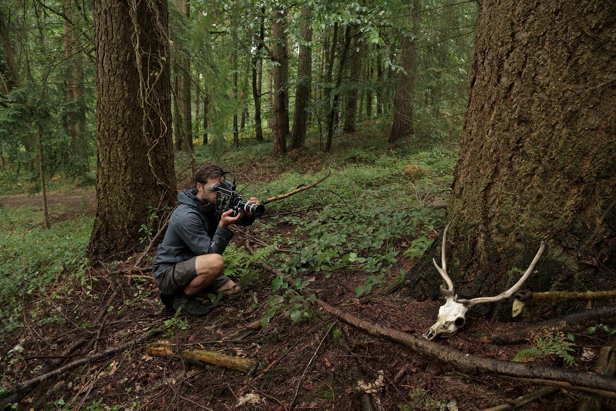 ARTS COUNCIL ENGLAND & NATIONAL TRUST: HART OF THE WOOD LIVE ART